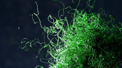 Image result for Particle Nodes Blender