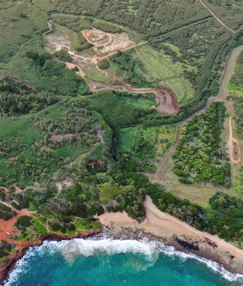 After all this… Makauwahi Cave Reserve still thrives! | Makauwahi