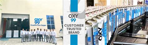 Buy OXY99 Natural Oxygen Can 2 Pack 12 L with Mask, Tube & Elastic ...