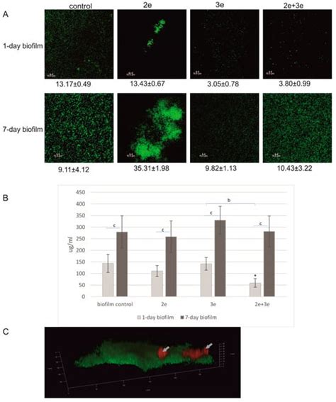 How Do Phages Disrupt the Structure of Enterococcus faecalis Biofilm?