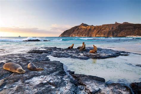 Image result for Ontong Java Island