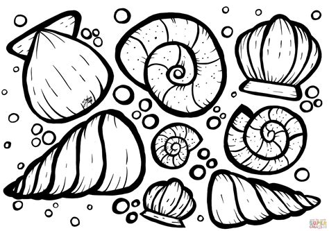 Sea Shells Coloring Pages at John Froehlich blog