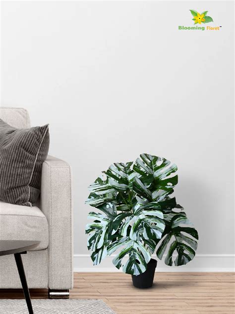 Artificial Monstera Plant – 60 cm, 12 Leaves, Green-White, with Basic ...