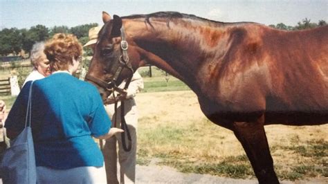 People still think fondly of Secretariat 50 years later | whas11.com