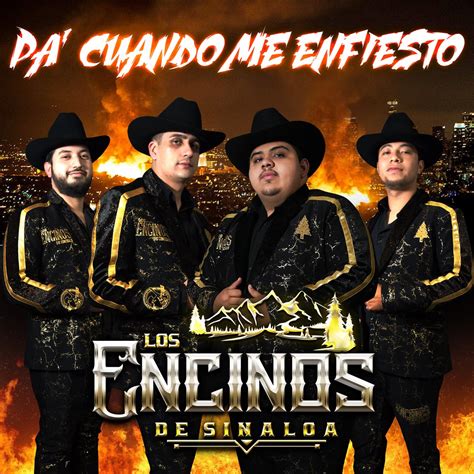 ‎Pa' Cuando Me Enfiesto (En vivo) - Album by Los Encinos De Sinaloa ...