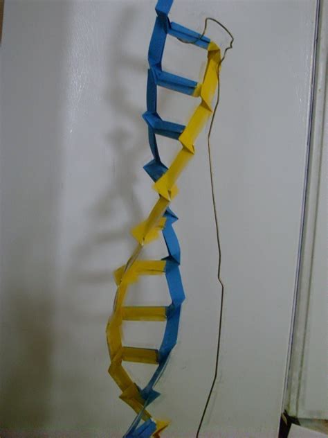 Image result for DNA Origami Applications