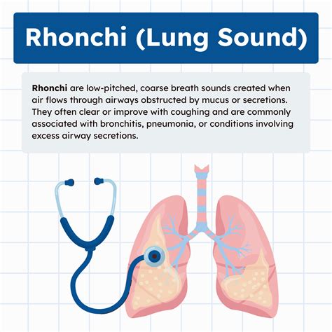 Rhonchi (Lung Sounds): Overview and Practice Questions