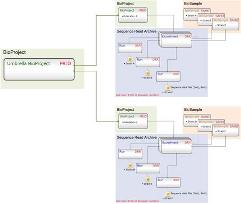 Image result for Meta File Example