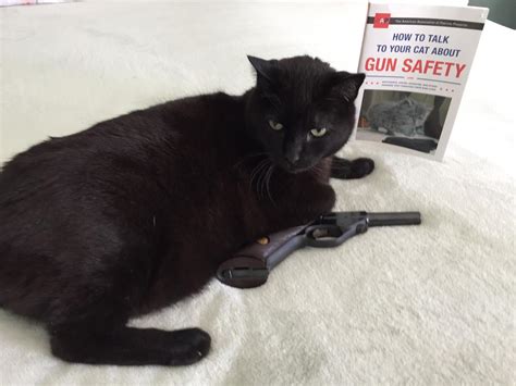 I see your cats with guns and raise you a safety cat. RO on duty! : r/guns