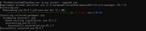 Pip Install Numpy OpenCV Python 的图像结果