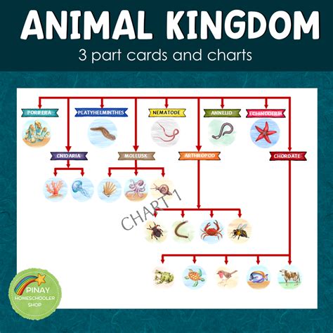 Animal Kingdom 3 Part Cards and Charts – Pinay Homeschooler Shop