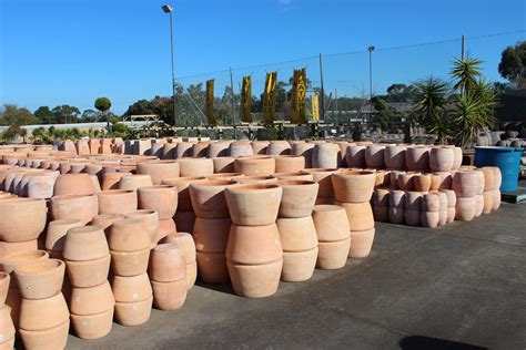 Large Terracotta Pots Geelong - Garden Plant