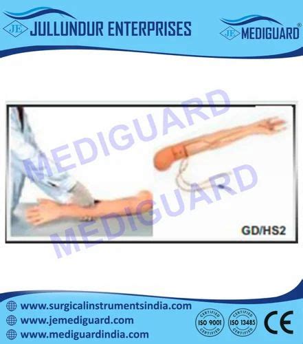 Image result for IV Training Arm Model
