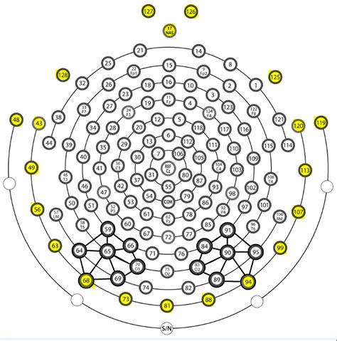 Image result for EEG Source Localization
