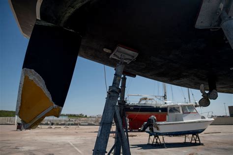 Why are orcas attacking boats? The killer whale ramming attacks ...