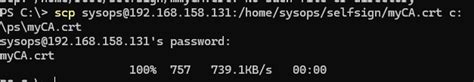 Создать самоподписанный сертификат в Linux с помощью OpenSSL ...