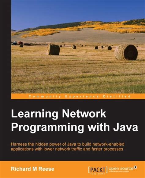 Java Network Programming 的图像结果