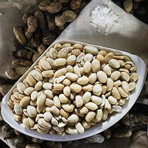 Gamta Roasted Peanuts (Salted), 400g : Amazon.in: Grocery & Gourmet Foods