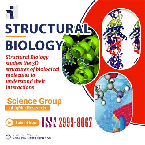 Structural Biology | Science | IgMin Research - STEM | A Multidisciplinary Open Access Journal