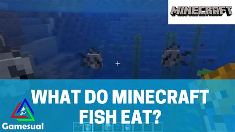 How To Cook Tropical Fish In Minecraft