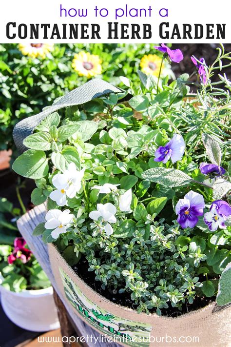 How to Plant a Container Herb Garden - A Pretty Life In The Suburbs