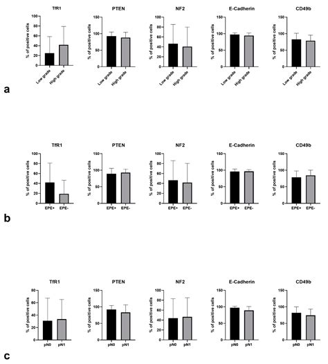 E-Cadherin, Integrin Alpha2 (Cd49b), and Transferrin Receptor-1 (Tfr1 ...