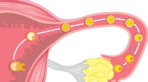 Artikel Terkait - Alomedika