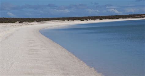 Image result for Shell Beach Wa