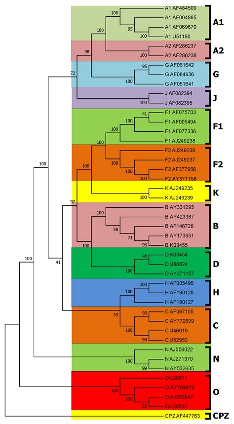 Phylogenetic Analysis of HIV-1 Genomes Based on the Position-Weighted K ...