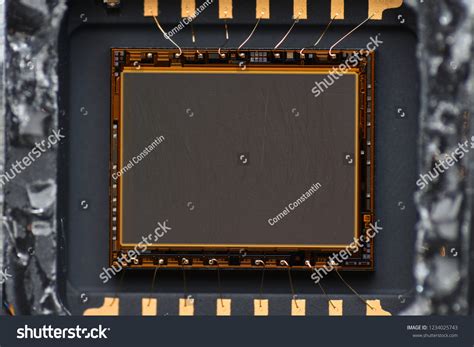 Camera Sensor Under Microscope 的图像结果
