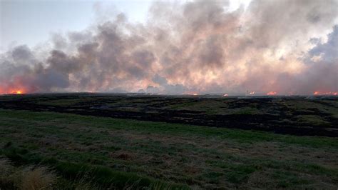 Stubble burning: USD 30 billion goes up in flames each year for India ...