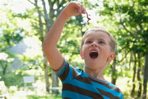 Why My Child Keeps Getting Worms: The Hidden Triggers & Natural Fixes