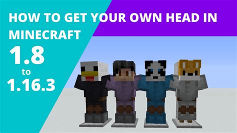 Image result for Command to Get Your Head in Minecraft Java