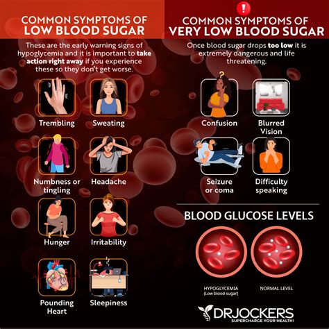 Signs Of Low Blood Sugar Handling Hypoglycemia: How To Balance Low