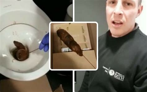 Disgusting video viewed by millions of man battling enormous poo in ...