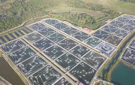 Aquaculture 的图像结果