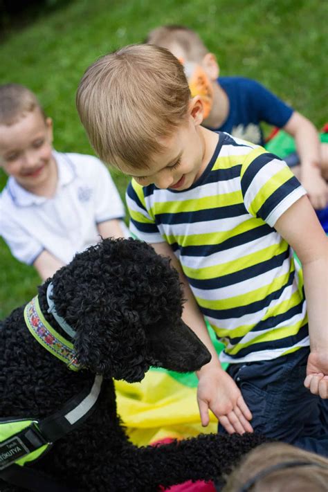 Házi kedvencek és a gyerekek – Kutyás zsúr | Lollipop Party - ahol a ...