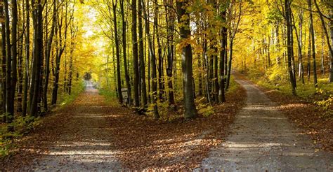 Image result for Reliability vs Availability Graph