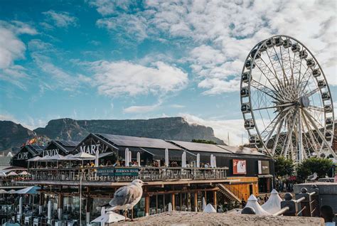 Things to do in Cape Town, A Sustainable Guide | Drink Tea & Travel