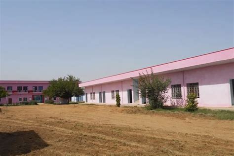 Jai Shri Dayal Teacher's Training College Sikar Campus: Photos, Virtual ...