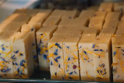 SOAP Tutorial 的图像结果