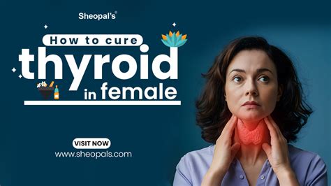 How to Cure Thyroid Problems in Women – (No One Talks About) – Sheopals