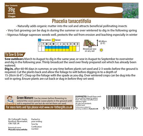 Green Manure Phacelia Tanacetifolia - Plants Galore