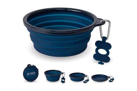15 Best Portable Dog Water Bowl for 2023 | CitizenSide