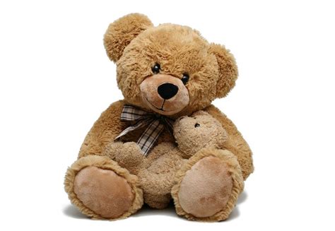 泰迪熊玩具专卖店,泰迪熊玩具,泰迪熊_大山谷图库