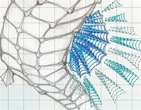 Wilcom Hatch Digitizing Tips 的图像结果