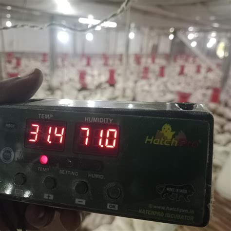 Hatchpro RB30 Temperature and Humidity Controller for Automatic Egg ...