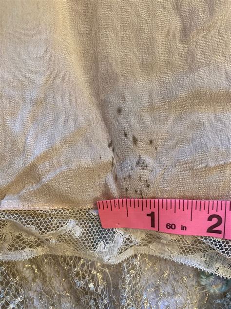 Museum Quality 1920’s Erotic Couture Evening Dress By Sadie Nemser 'Se ...