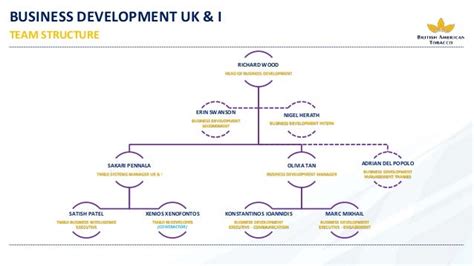 Image result for Business Development Structure