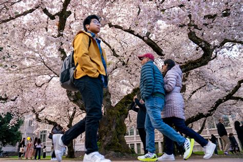 Government Benefits News - Latest Welfare Programs News & Updates